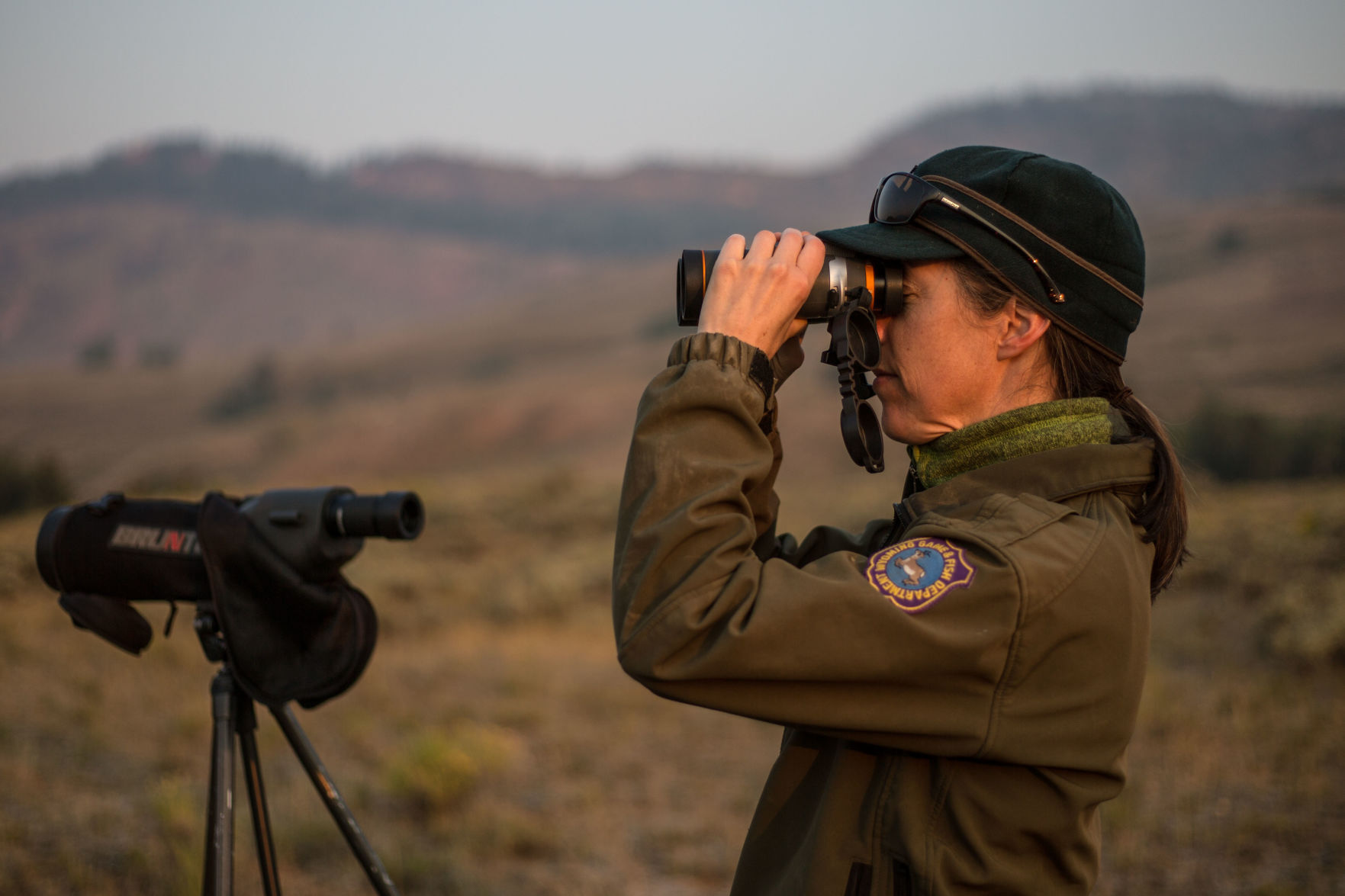 Pronghorn survey